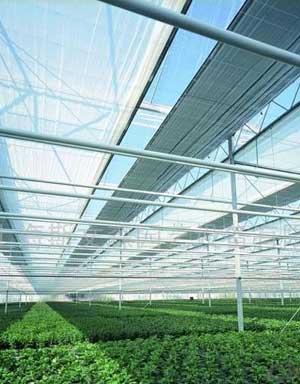 Shade Protectio