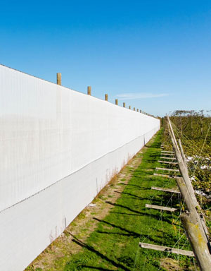Wind Protection