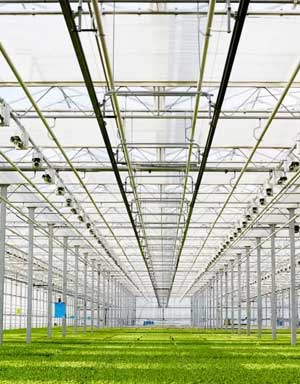 Greenhouse Aluminet