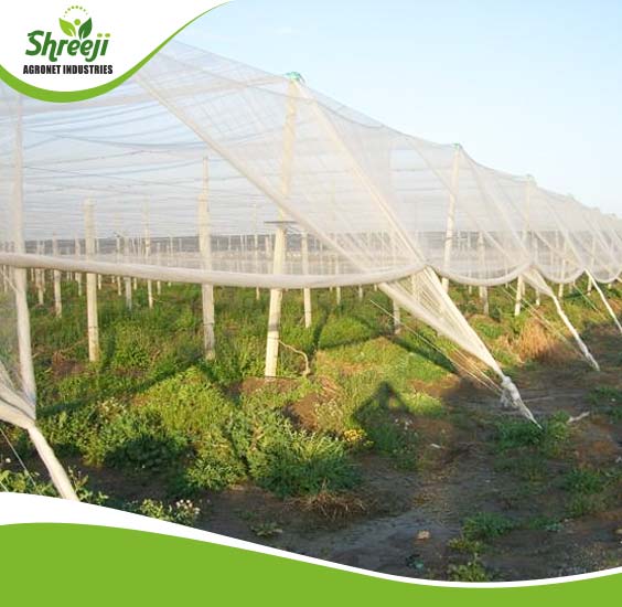 Mono Filament Shade Net